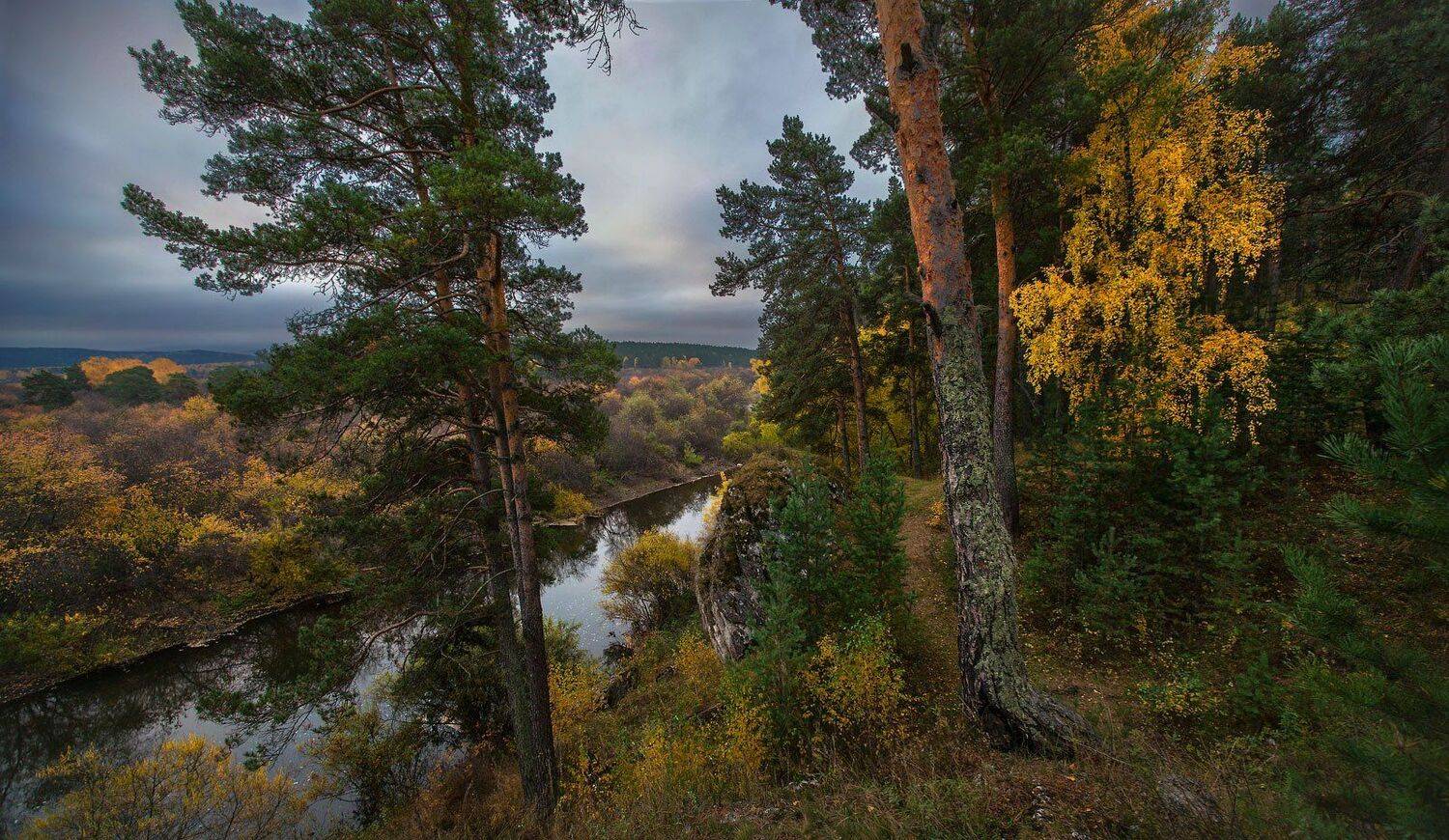 , Владимир Ляпин