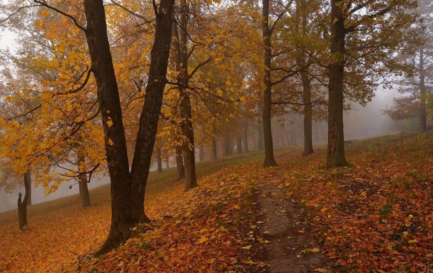 , Руслан Сигушин