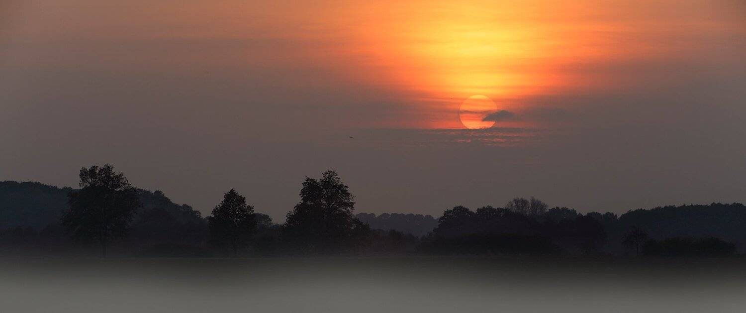 , Игорь Дубровский