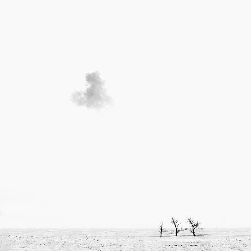 milad safabakhsh, landscape, minimal, white, nature, concept, cloud, sky, trees, milad safabakhsh
