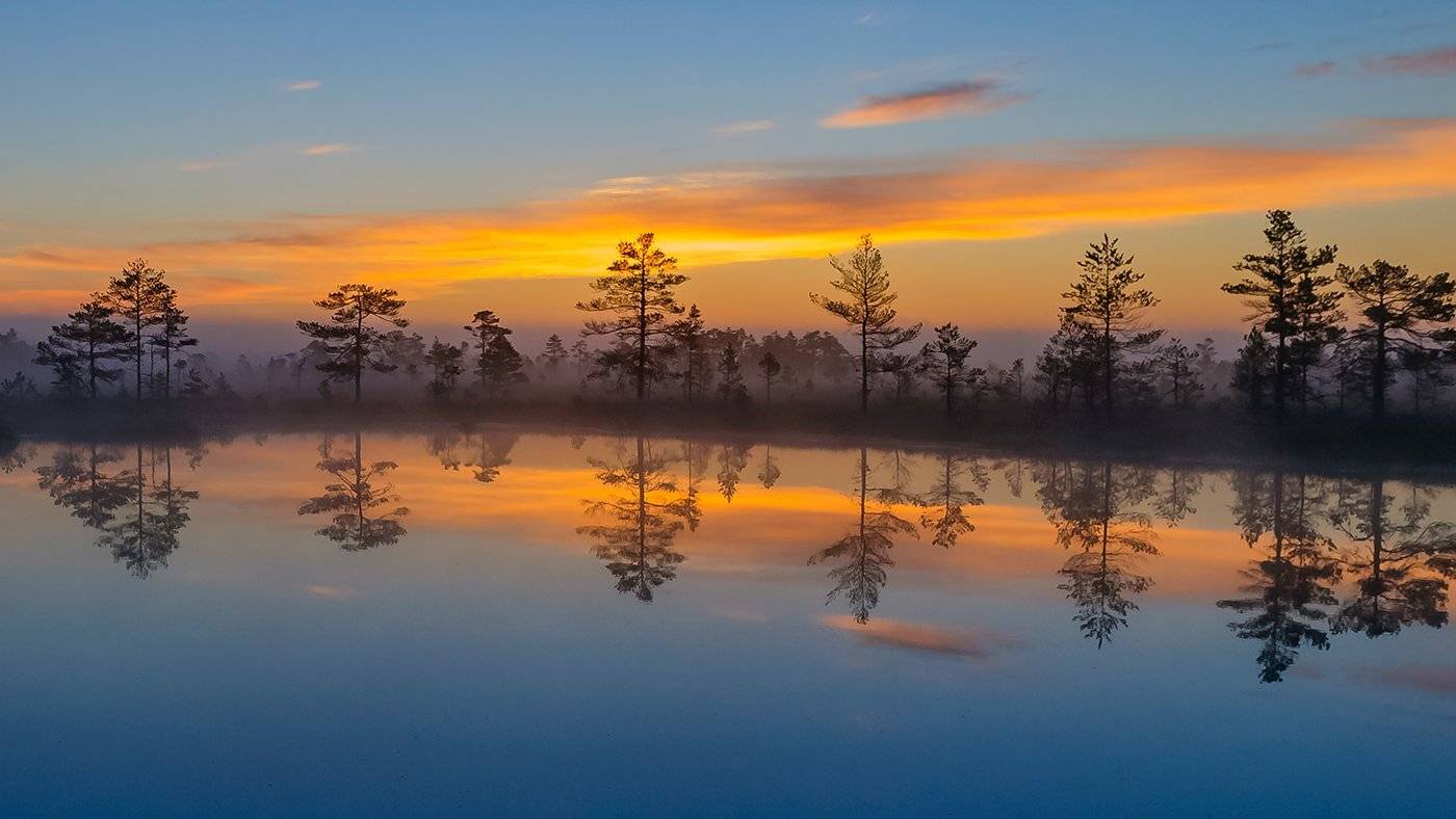 , Александр Абросимов