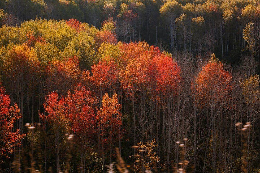 , Ратушнова-Осинцева Арина