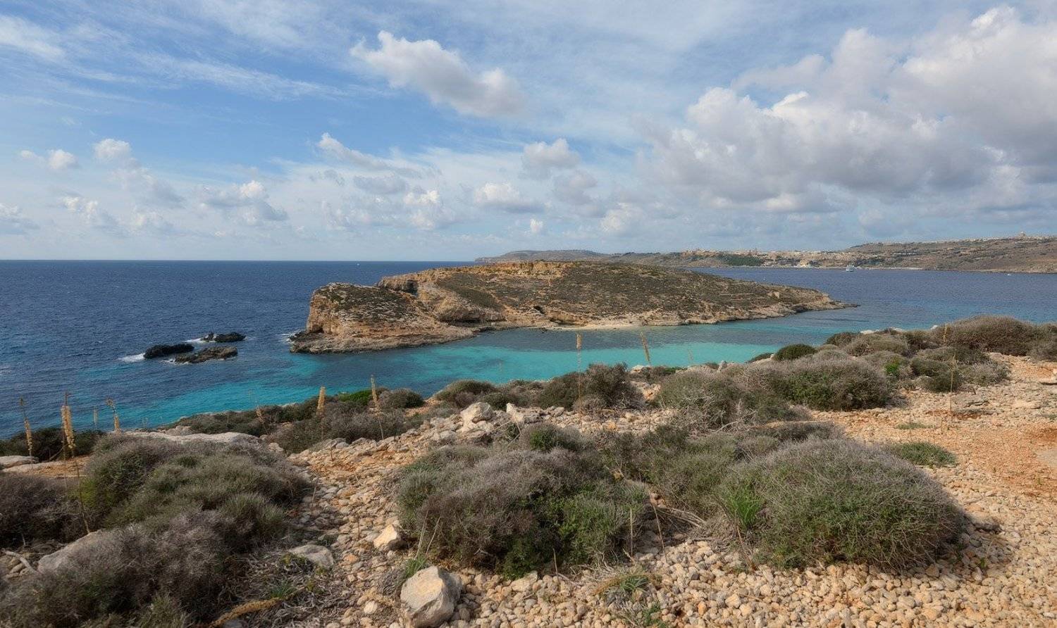 , Сергей Седов