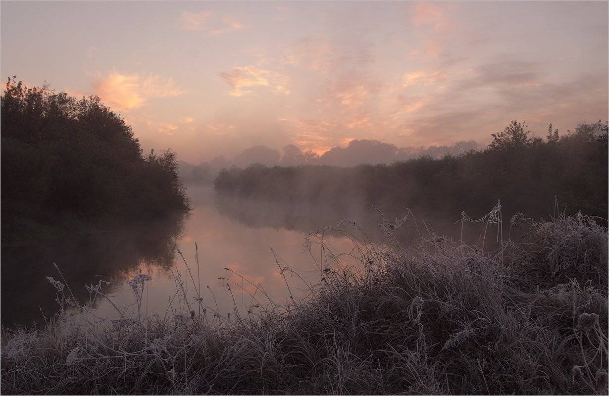 , Николай Шахманцир