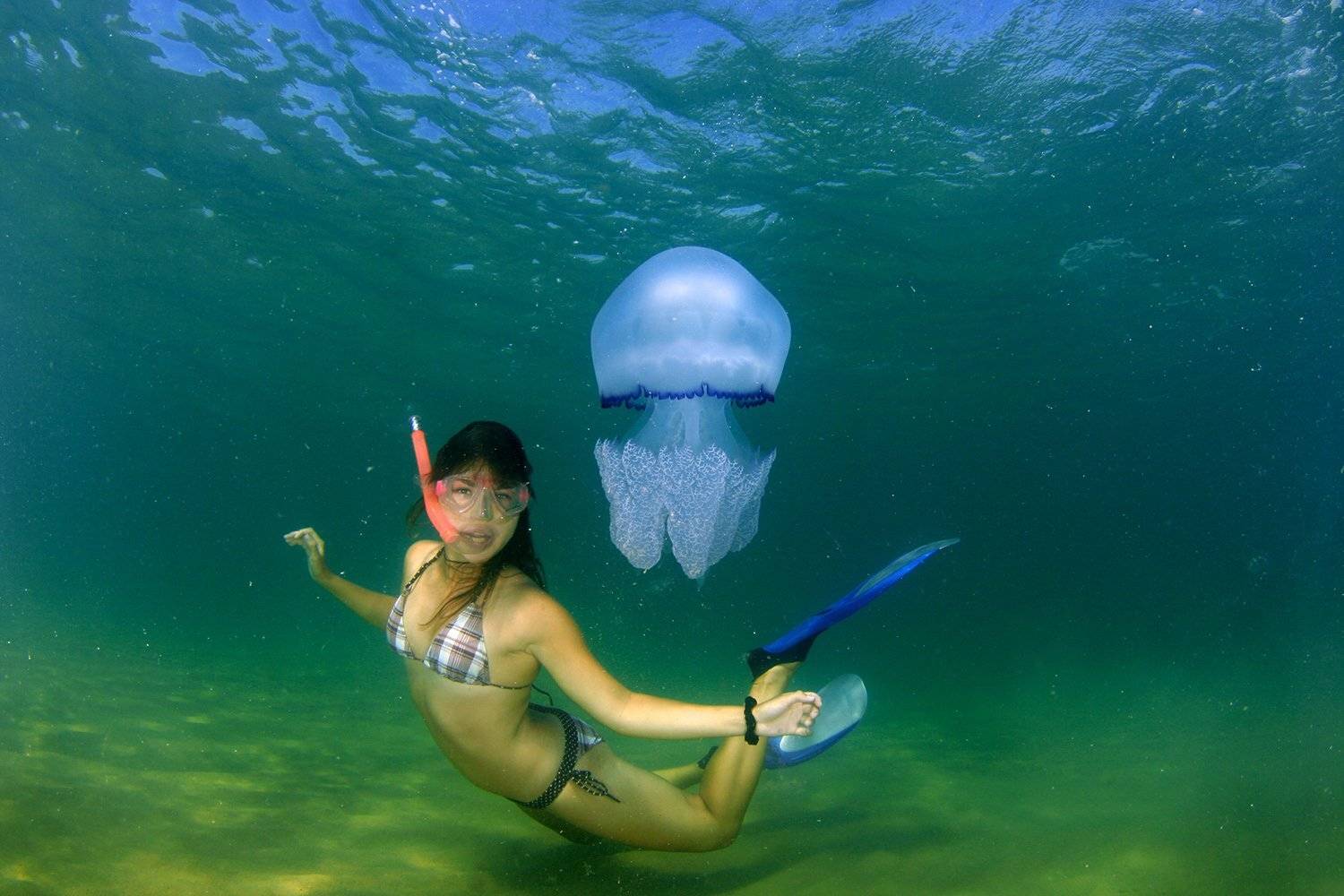 , Никифоров Егор