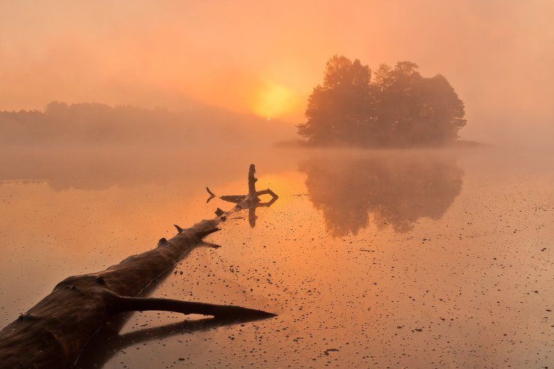 50d, Fog, Foggy, Lake, Landscape, Lee, Mist, Poland, Sokol, Sunrise, Wood Fallen lord of light фото превью