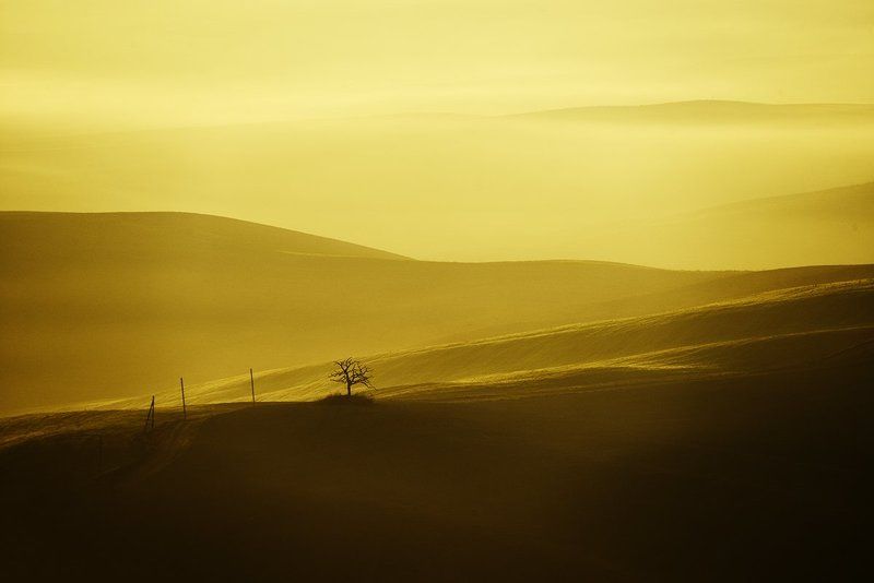 Toscana, 1 фото превью