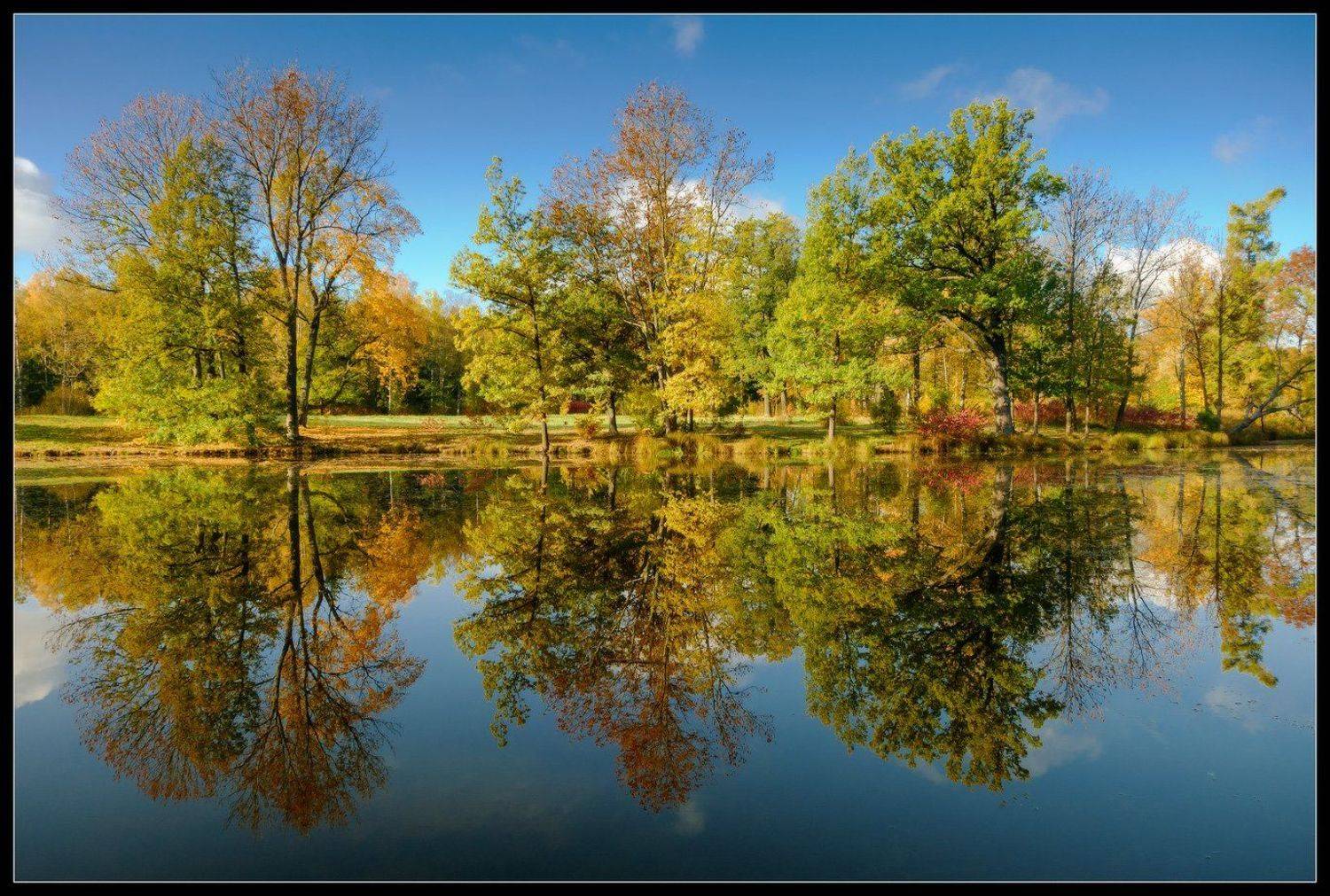 Александровский, Осень, Парк, Пушкин, Царское, Царское село, Илья Штром