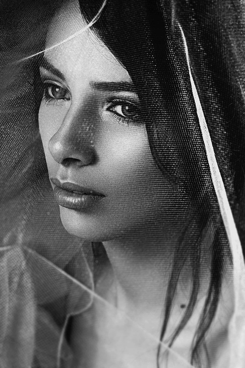 , Резниченко Виталий