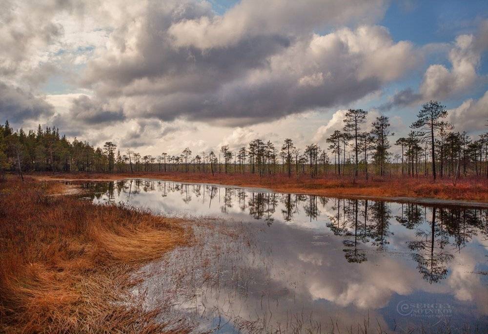 , Сергей Сотников