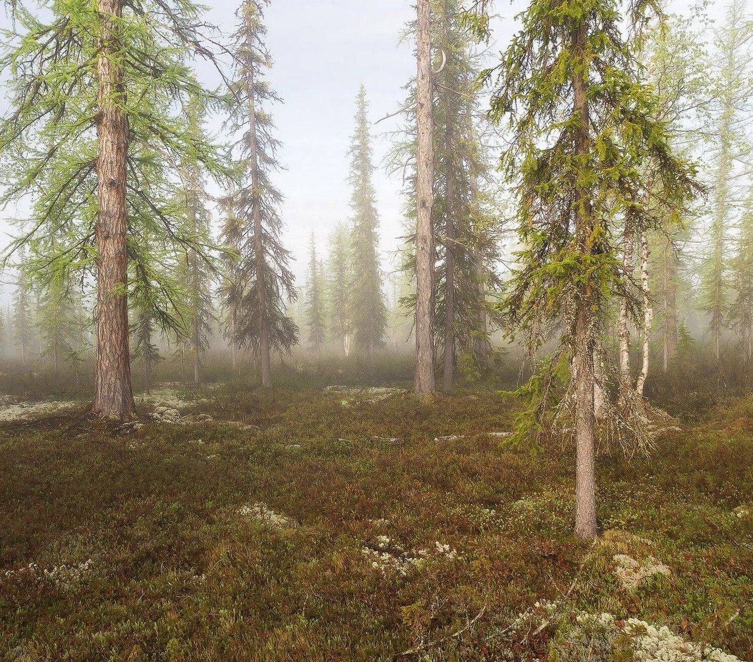 , Лещёнок Александр