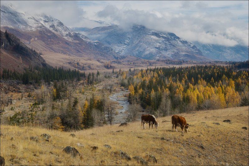 Акташ, Горный алтай *** фото превью