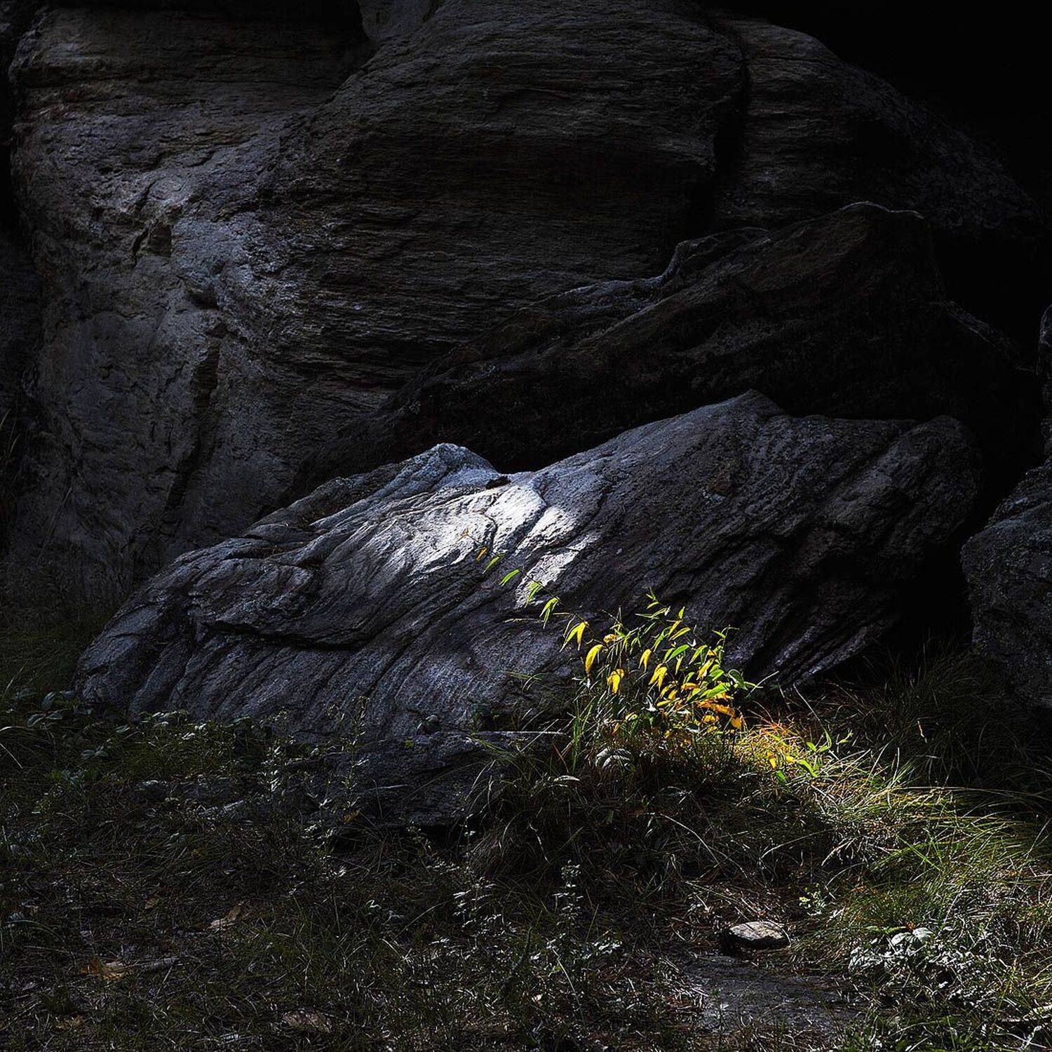 , Качурин Алексей