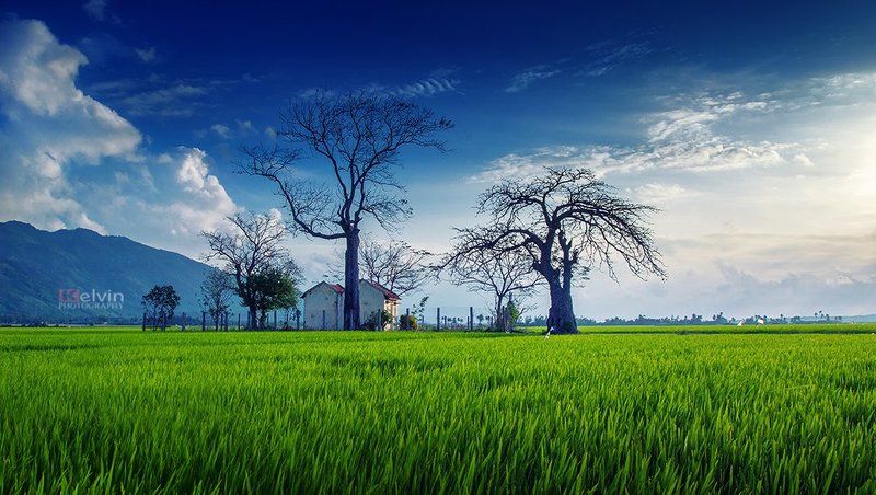 Vạn Giã фото превью