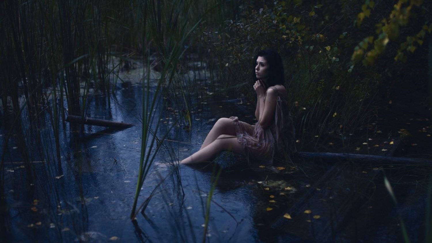 , Александр Марков