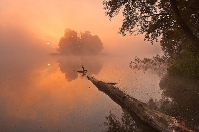 fog, foggy, golden, lake, masuria, mist, poland, sokol, sunrise, tree, warmia, wood Lakeside mist фото превью
