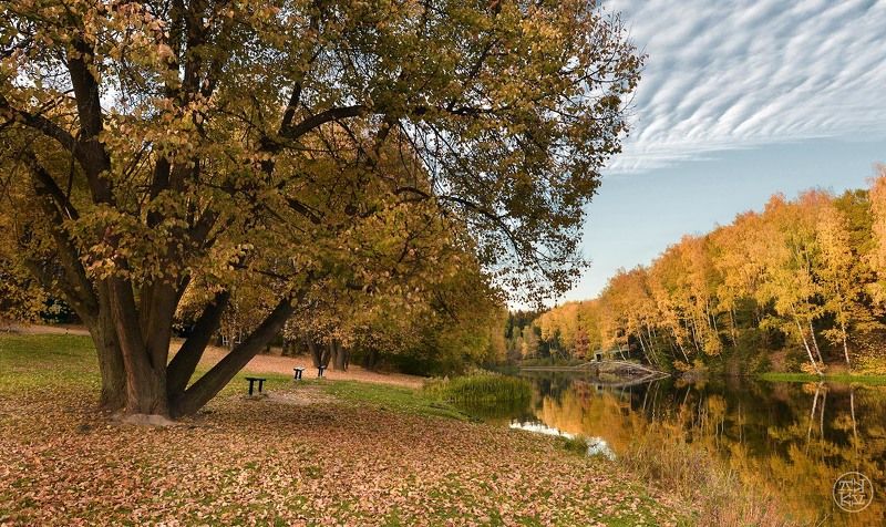 Тихая бухта фото превью