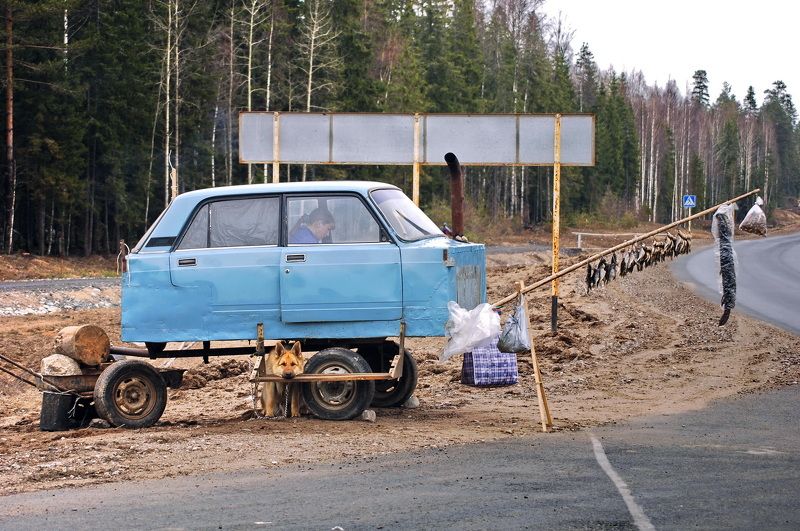 Про Нас, Наше, Санкции и МФУ, или сможем ли мы еще раз победить Наполеона фото превью