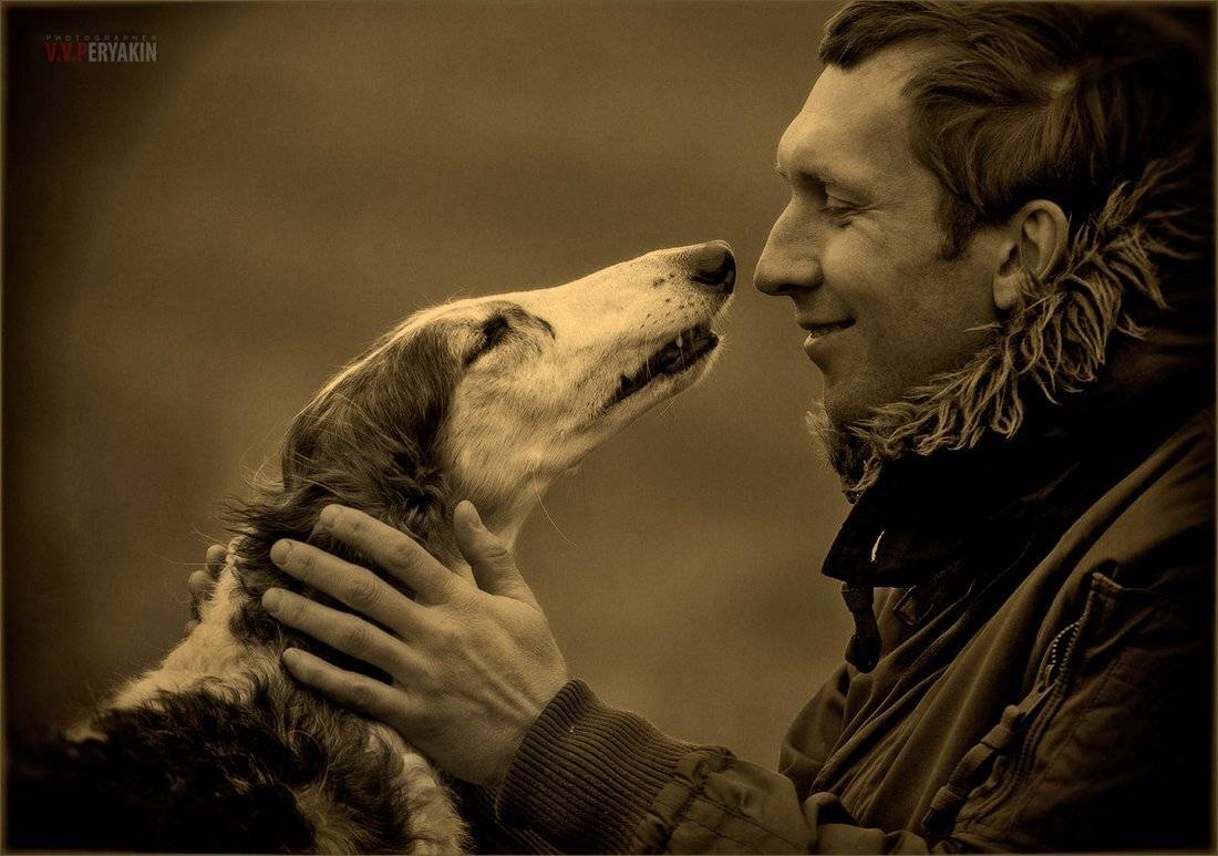 , Виктор Перякин