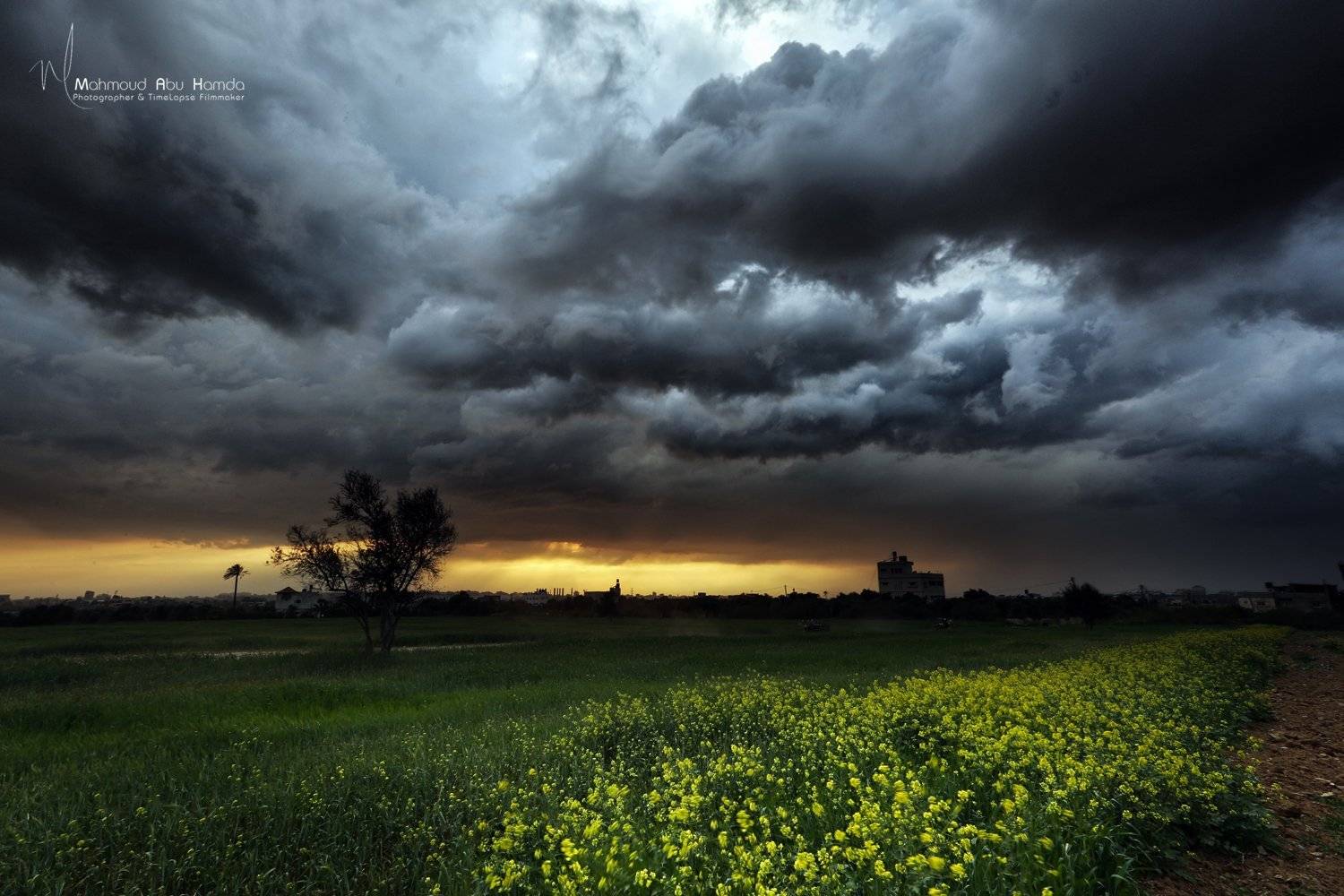 , Махмуд Хамда