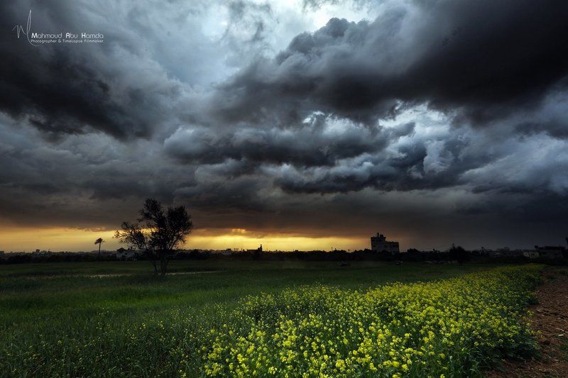 spring фото превью