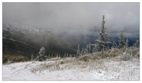 Сквозь завесу снегов