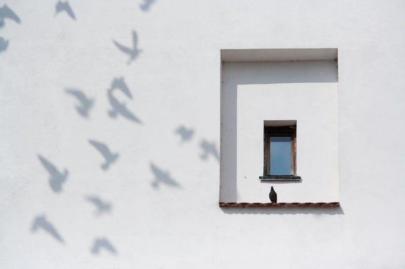 ... фото превью