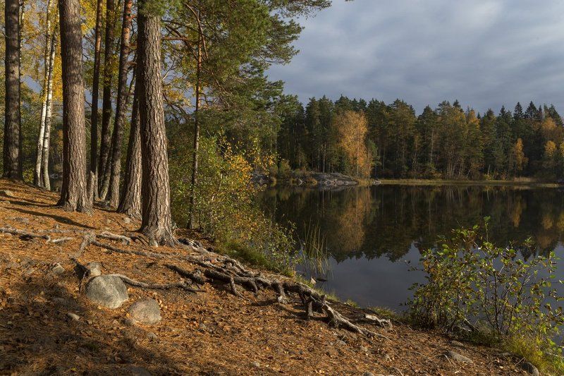 Осень на Вуоксе фото превью