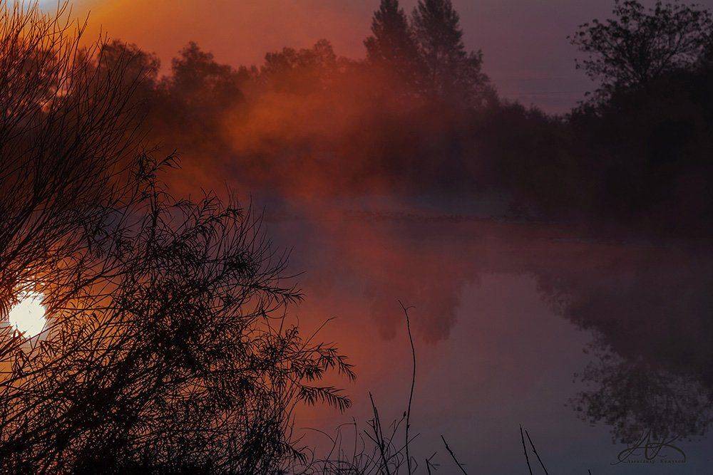 Ива деревья, Красный туман, Кустарник, Отражение Солнца в воде, Природа пейзаж, Рассвет, Река, Туман, Александр Кожухов