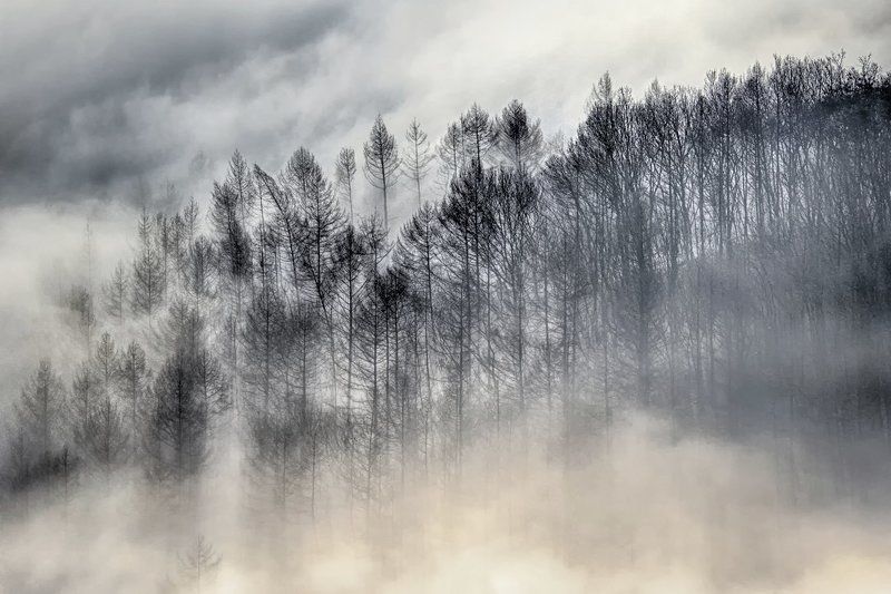 Cloud and light фото превью