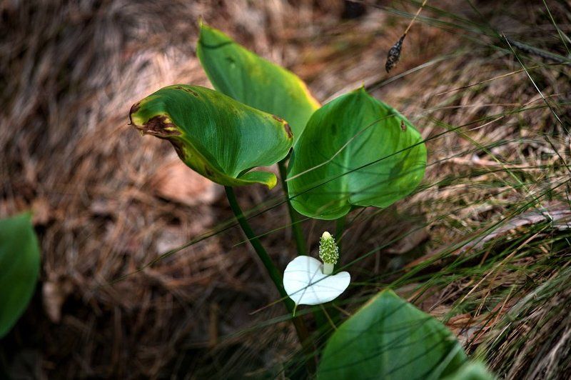 Кораблекрушение фото превью