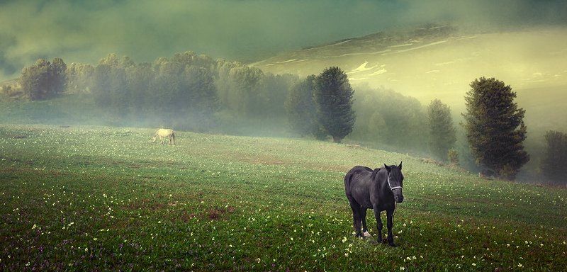 Altay morning фото превью