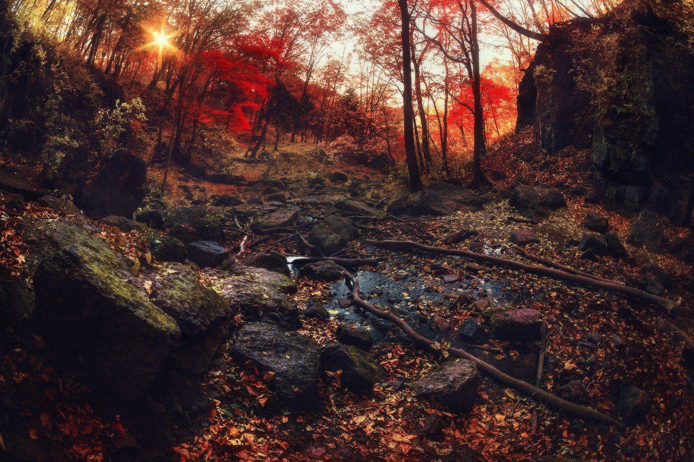 , Андрей Кровлин