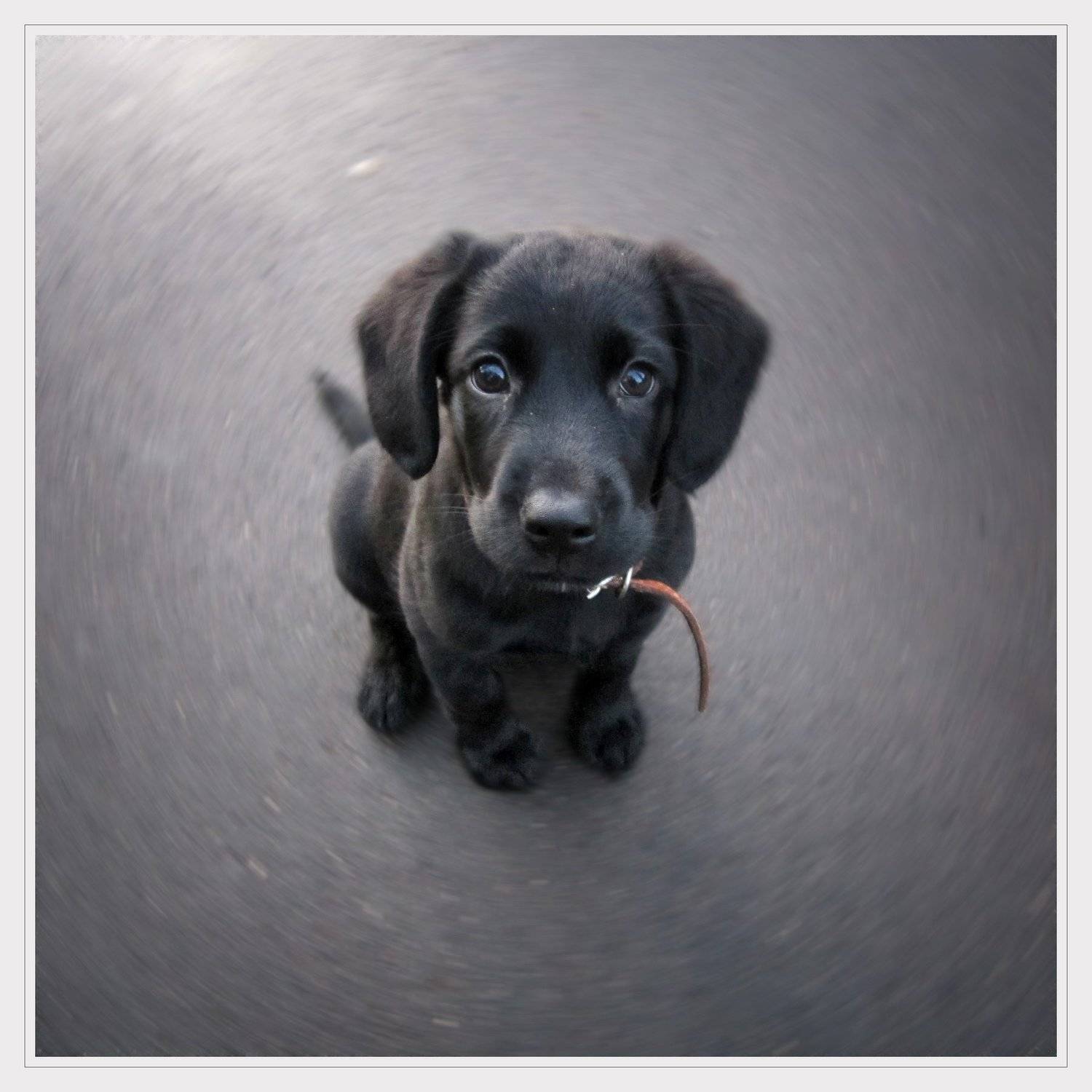 , Димка Близнюков