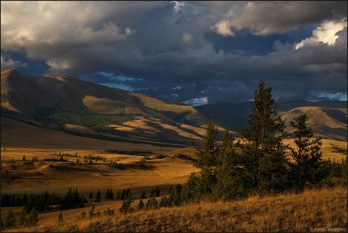 Курайский вечер