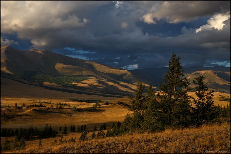 Алтай, Аня графова, Вечер, Горный алтай, Горы, Курайская степь, Курайский хребет Курайский вечер фото превью