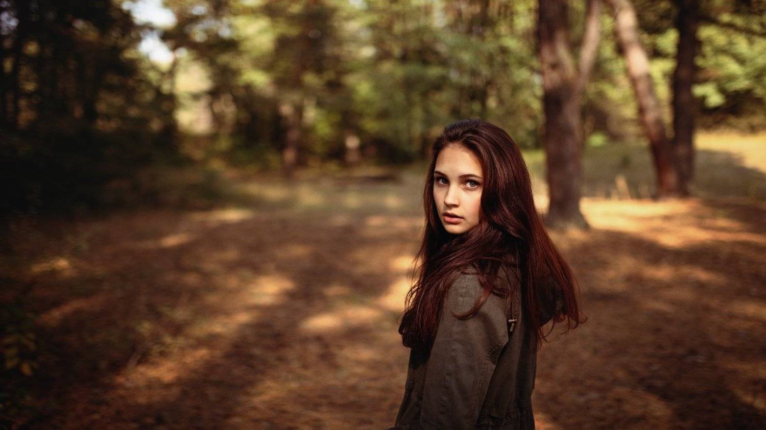 , Александр Кравцов