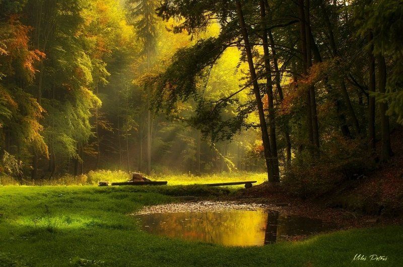 любители озеро фото превью