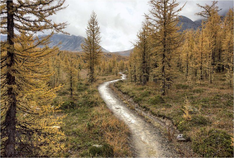 Сквозь осень в зиму фото превью