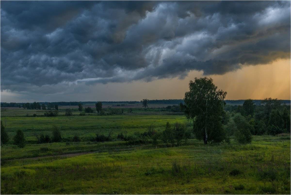 , Кутыгин Эдуард