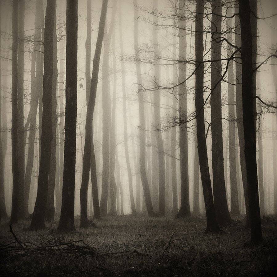 , Bogdan Panait