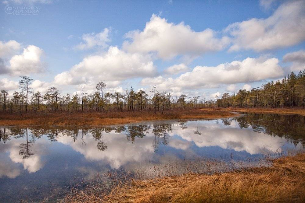 , Сергей Сотников