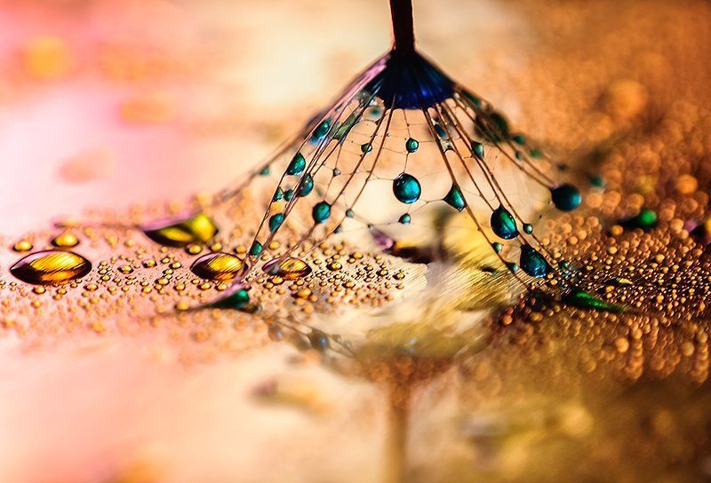 - фото превью