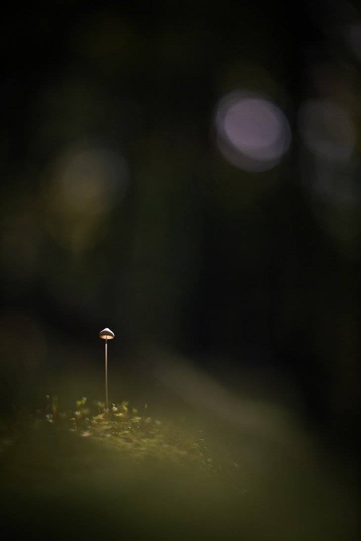 , Вячеслав Мищенко