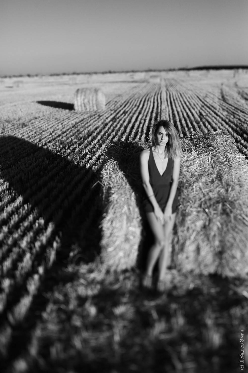 , Шейдаев Эмин