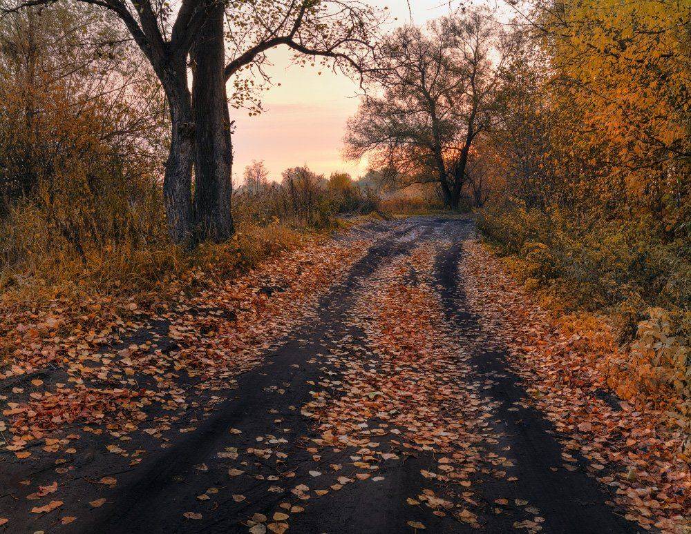 , Жмак Евгений