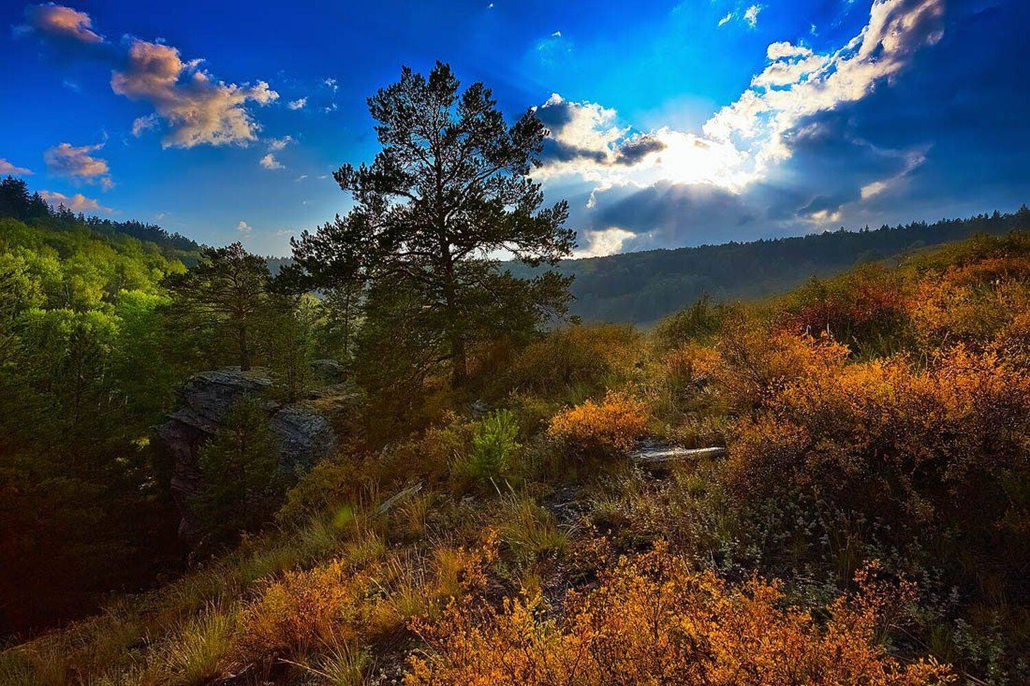 , Качурин Алексей