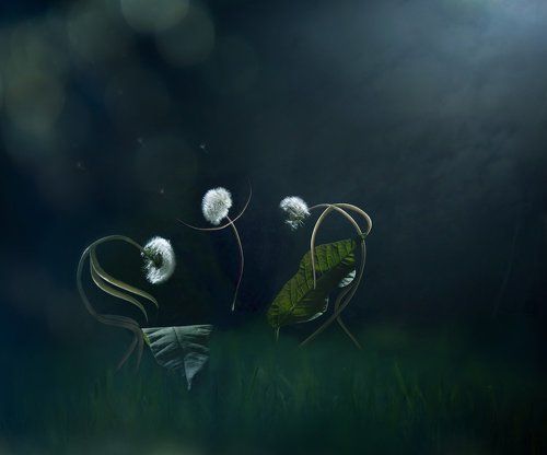 Moonlight Serenade...