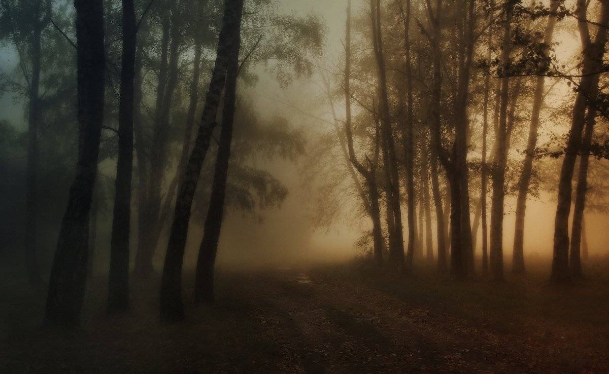 , Михаил  Пилипенко