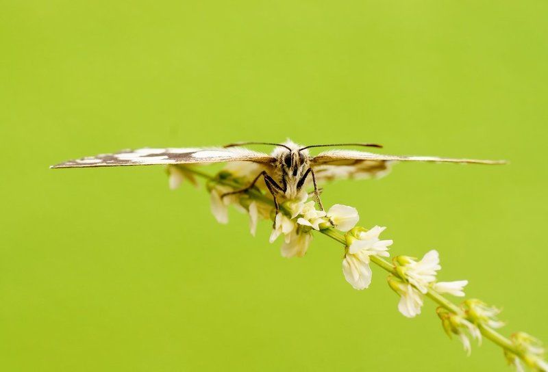 Aircraft... фото превью